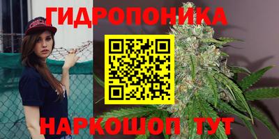 стаф Бузулук