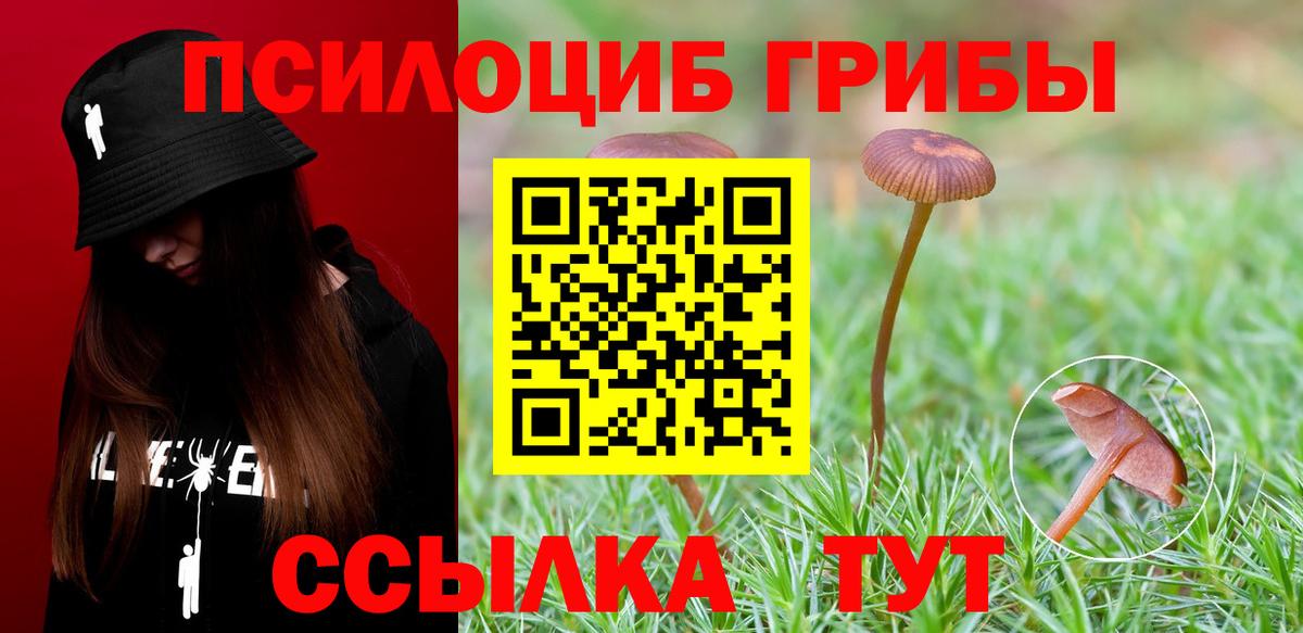 Галлюциногенные грибы прущие грибы  как найти   Лесозаводск  Вход с VPN 
